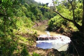 property  with Macal River frontage , Belize – Best Places In The World To Retire – International Living